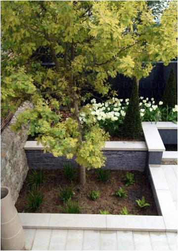 Belgravia Mews